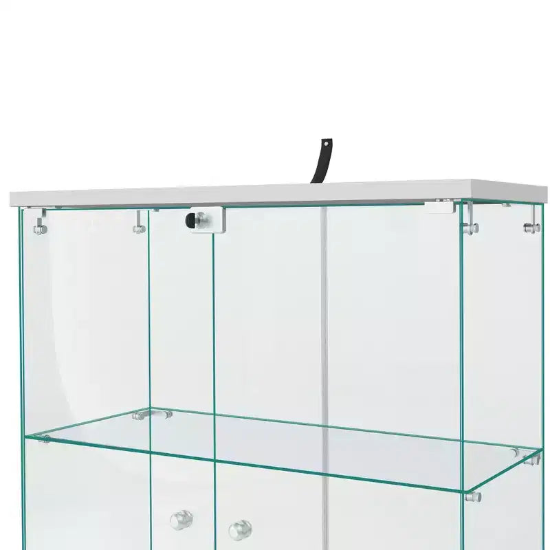 64.5 X 32 Glasvitrine, Sammlervitrine mit Schloss
