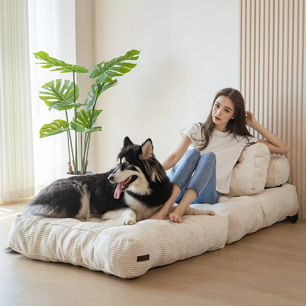 8 Cordsofa, Klappsofabett, Einzel