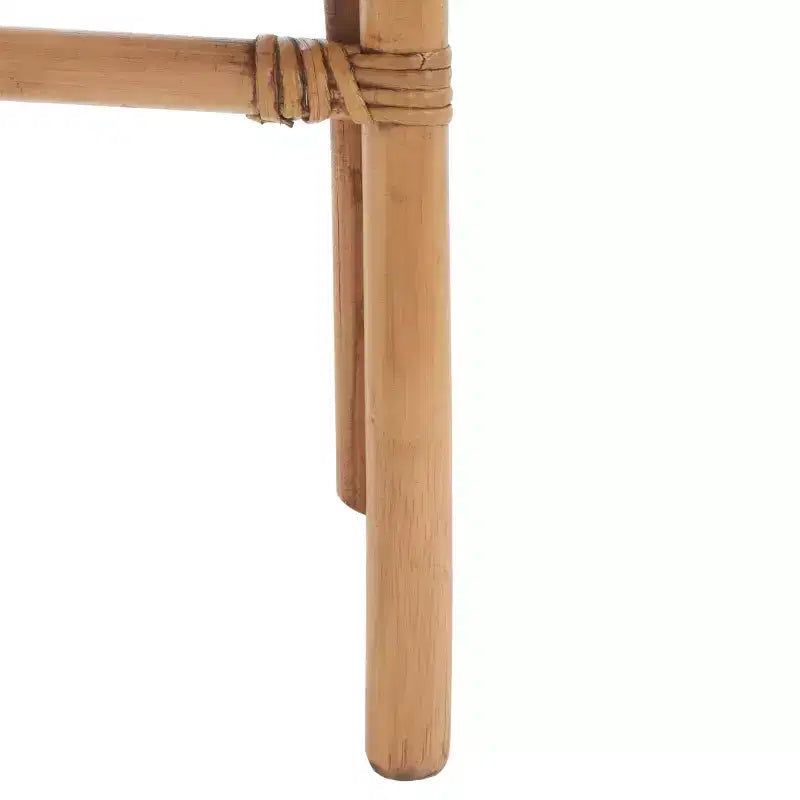 Adriana Rattan-Akzentstuhl - ACH6505 - 2er-Set - Safavieh
