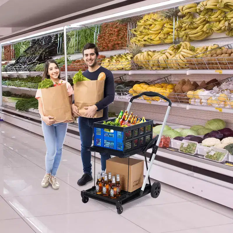 Chariot de courses pliant à 2 niveaux, capacité de 198 LB, chariot de courses portable pliable avec roues et caisse amovible pour centre commercial et marché, bleu