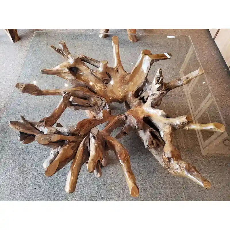 Tavolino da salotto in radice di legno di teak con piano in vetro quadrato da 55 inch